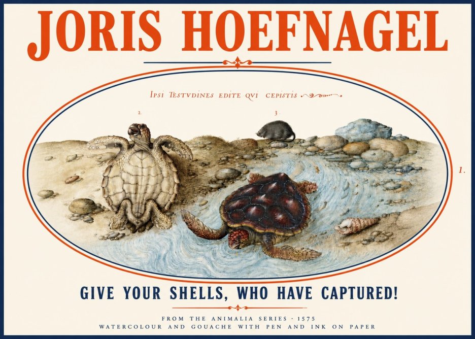 Joris Hoefnagel Two Turtles in a Stream No4 - Plakát