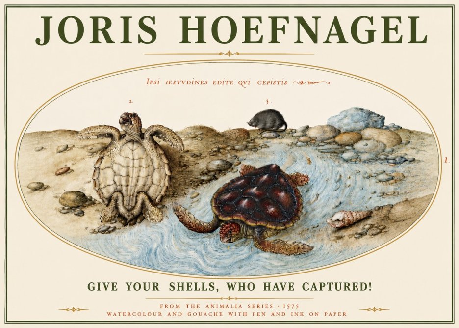 Joris Hoefnagel Two Turtles in a Stream No5 - Plakát