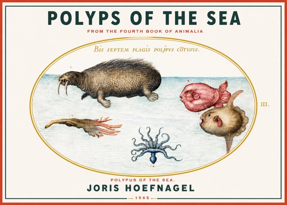 Joris Hoefnagel Polyps of the Sea No3 - Plakát
