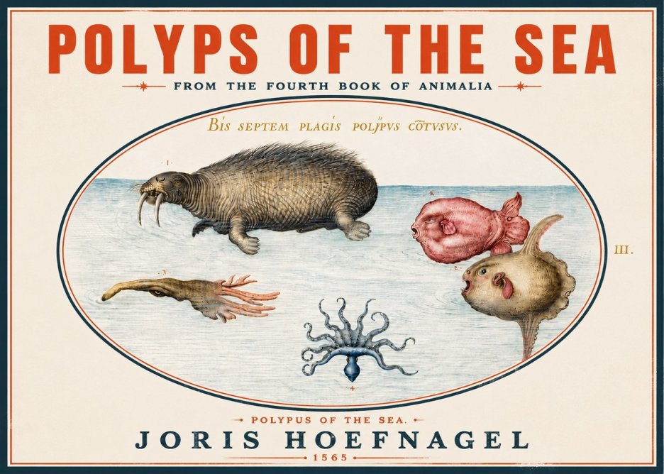 Joris Hoefnagel Polyps of the Sea No4 - Plakát