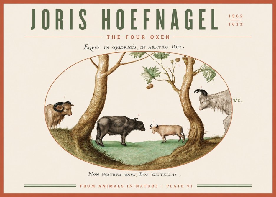 Joris Hoefnagel The Four Oxen No3 - Plakát