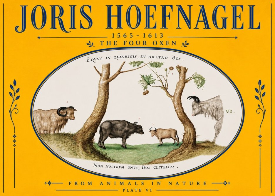 Joris Hoefnagel The Four Oxen No5 - Plakát