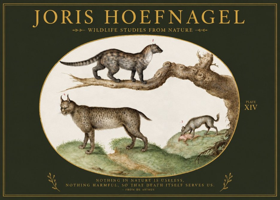 Joris Hoefnagel Wildlife Studies from Nature - Plate Xiv No2 - Plakát