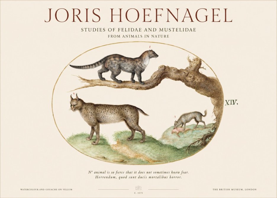 Joris Hoefnagel Wildlife Studies from Nature - Plate Xiv No6 - Plakát