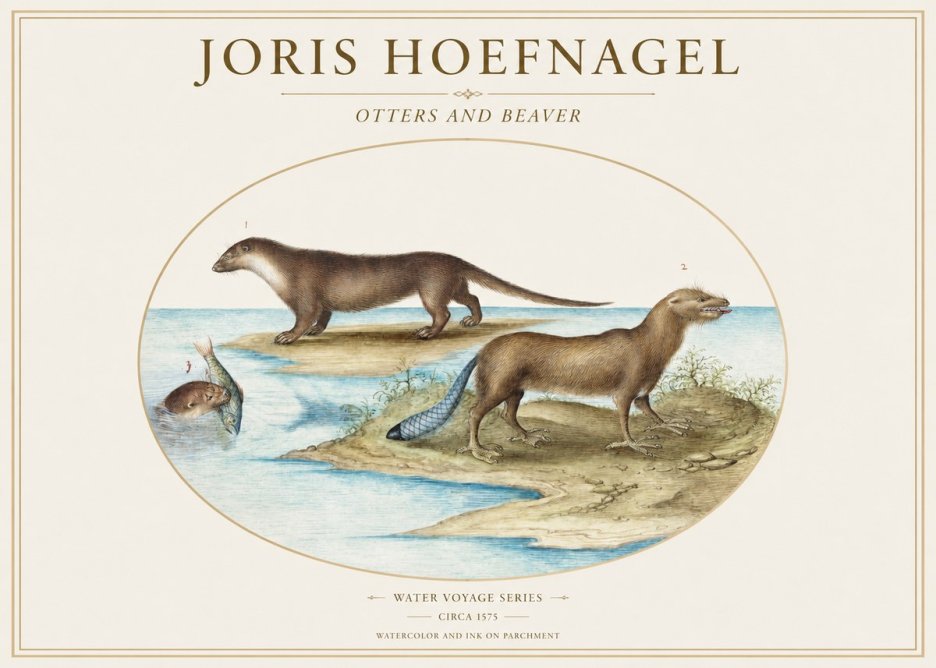 Joris Hoefnagel The Four-footed Creatures No2 - Plakát