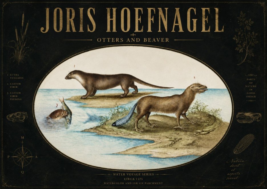 Joris Hoefnagel The Four-footed Creatures No4 - Plakát