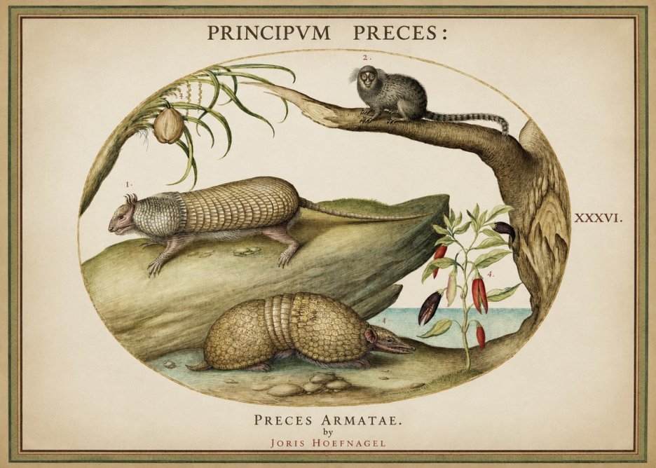 Joris Hoefnagel Praeces Armatae. No2 - Plakát