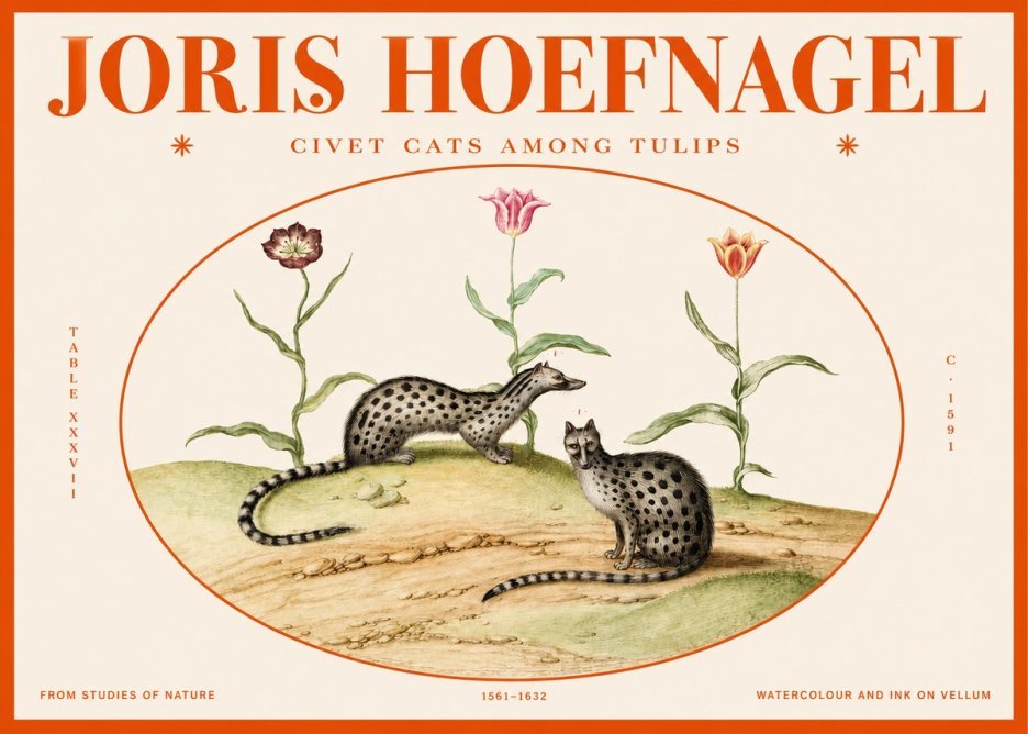 Joris Hoefnagel Civet Cats Among Tulips No2 - Plakát
