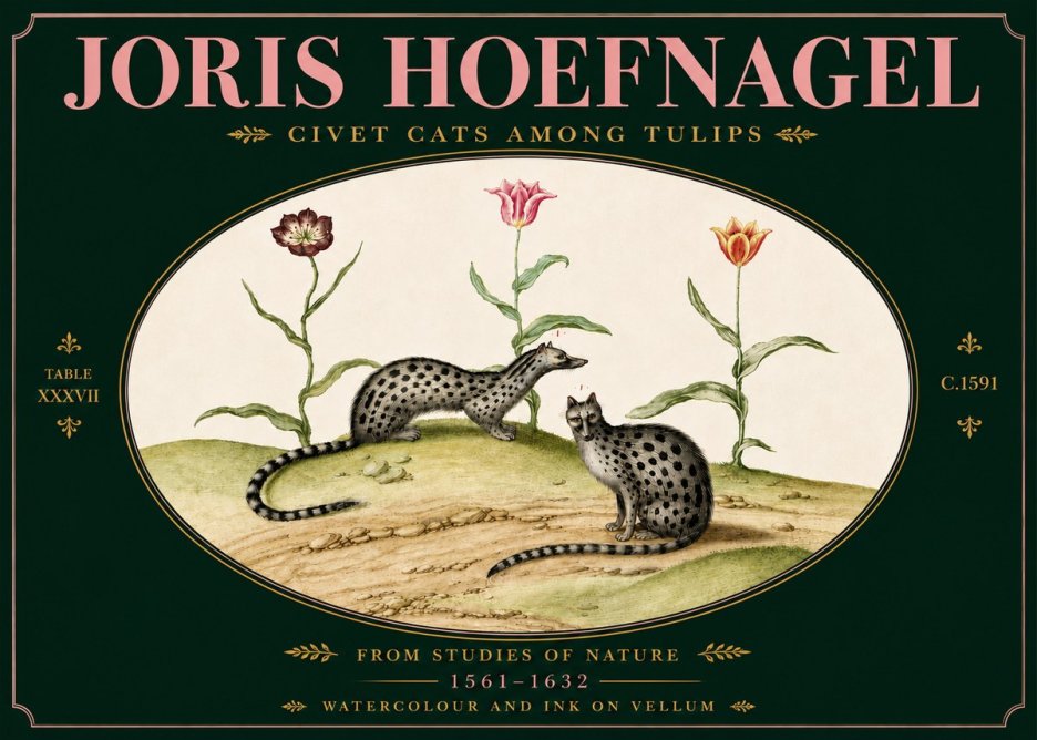 Joris Hoefnagel Civet Cats Among Tulips No5 - Plakát