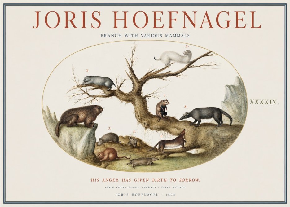 Joris Hoefnagel Branch with Various Mammals No1 - Plakát