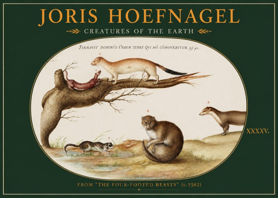 Joris Hoefnagel Creatures of the Earth I No2 - Plakát