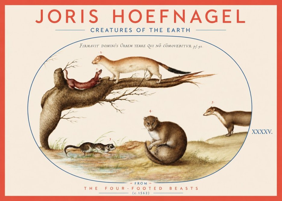 Joris Hoefnagel Creatures of the Earth I No3 - Plakát