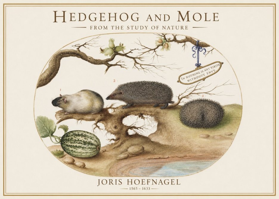 Joris Hoefnagel Hedgehog and Mole No1 - Plakát