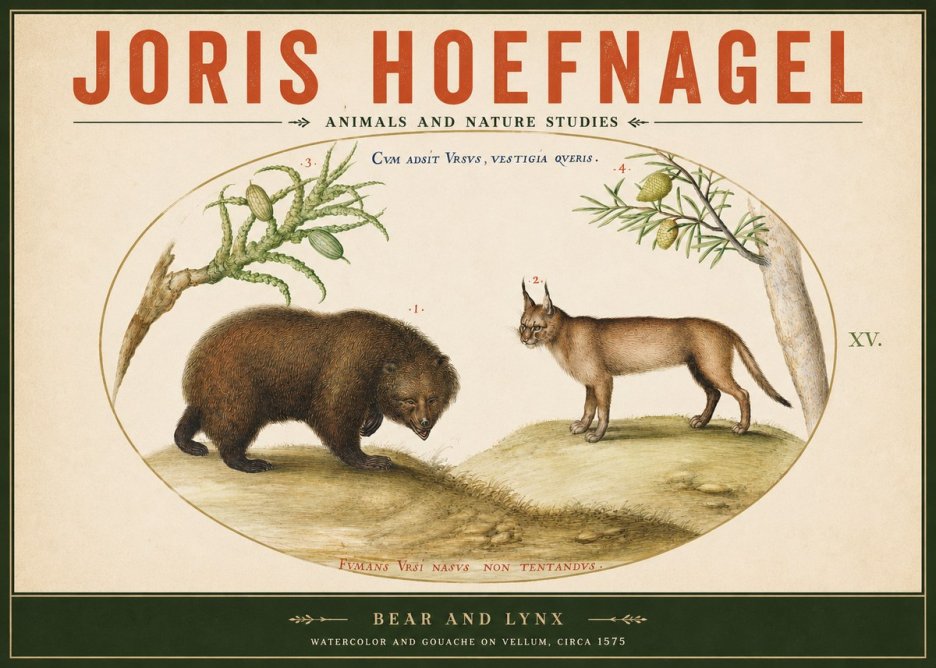 Joris Hoefnagel Bear and Lynx No2 - Plakát