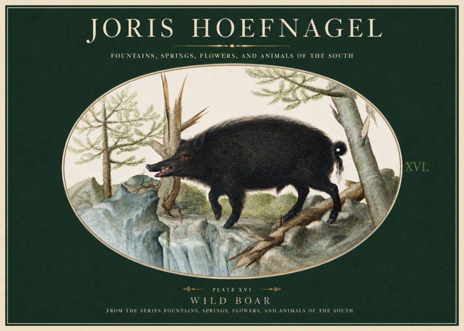 Joris Hoefnagel Fountains, Springs, Flowers, and Animals of the South - Plate Xvi No2 - Plakát