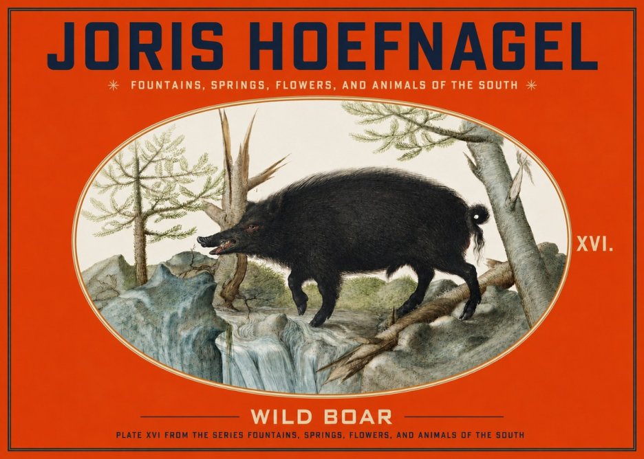 Joris Hoefnagel Fountains, Springs, Flowers, and Animals of the South - Plate Xvi No3 - Plakát