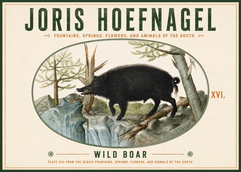 Joris Hoefnagel Fountains, Springs, Flowers, and Animals of the South - Plate Xvi No4 - Plakát