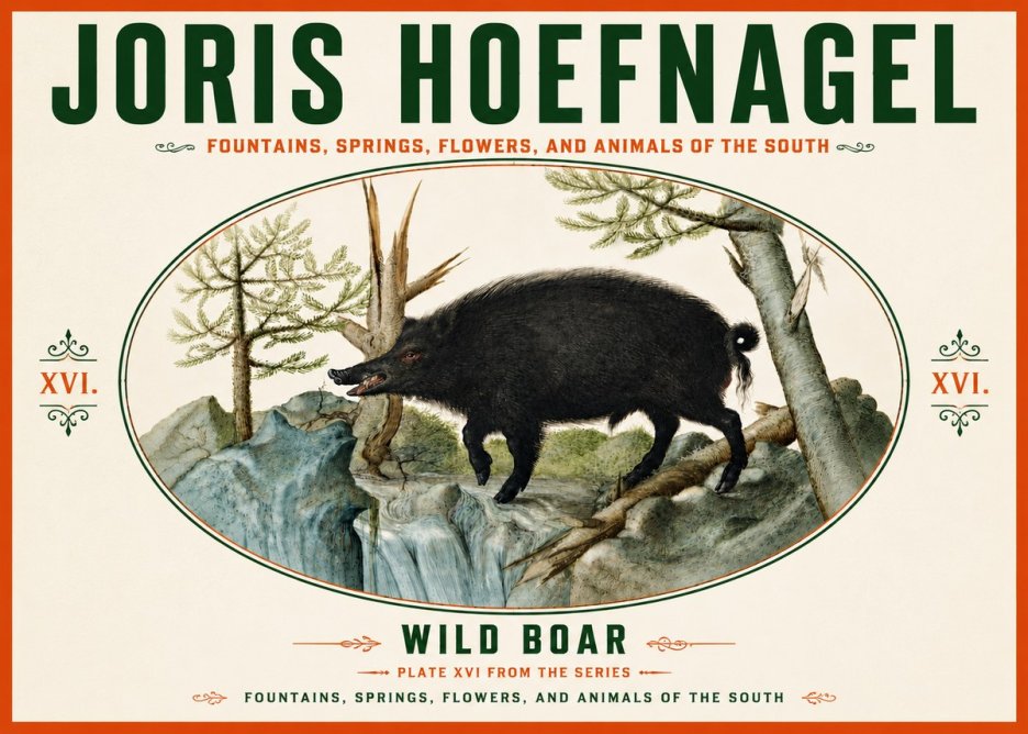 Joris Hoefnagel Fountains, Springs, Flowers, and Animals of the South - Plate Xvi No6 - Plakát