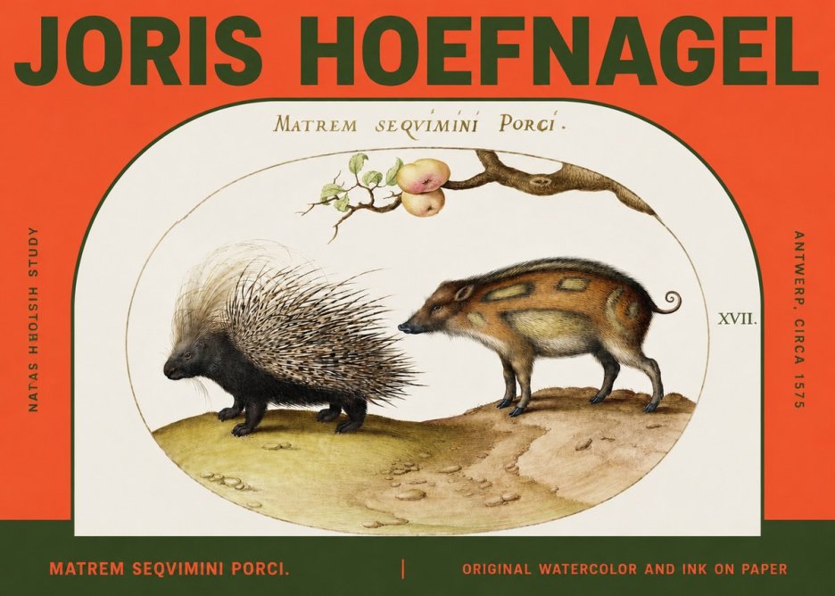Joris Hoefnagel Matrem Seqvimini Porci. No2 - Plakát
