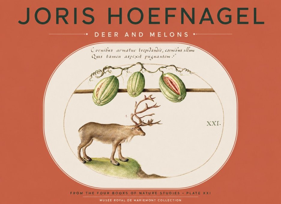 Joris Hoefnagel Arctic Nature Study No5 - Plakát