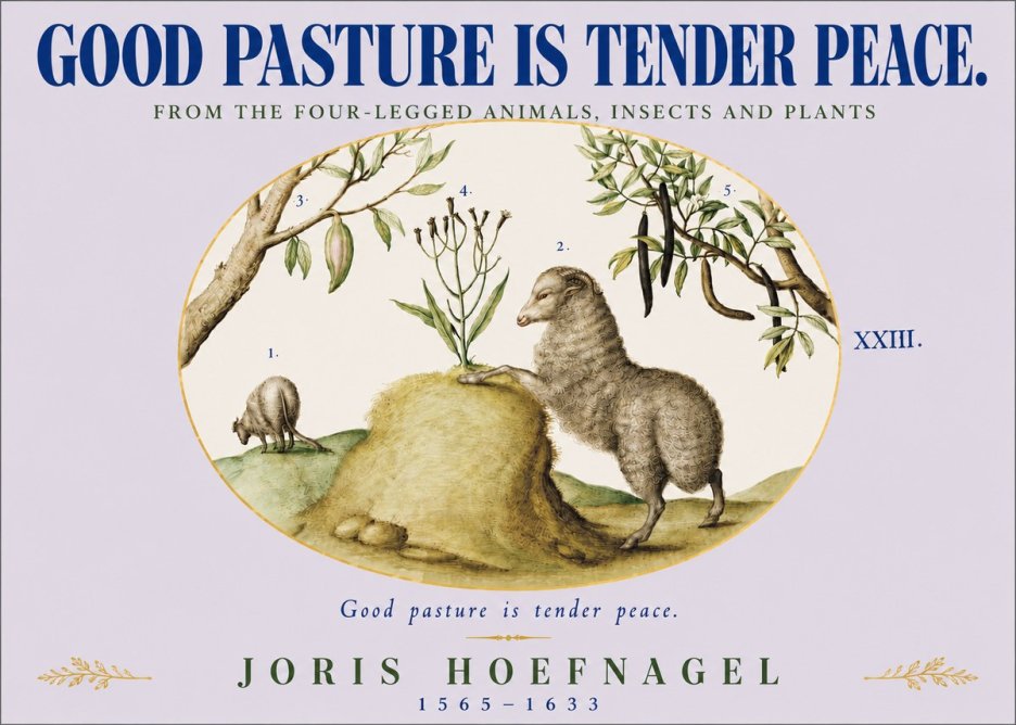 Joris Hoefnagel Good Pasture Is Tender Peace. No4 - Plakát