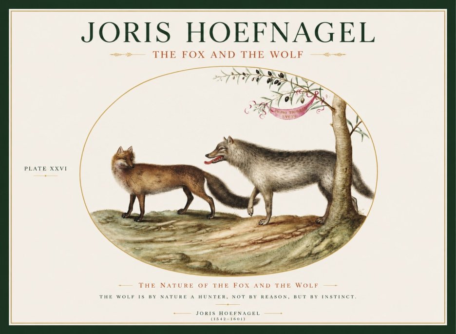 Joris Hoefnagel The Fox and the Wolf No1 - Plakát
