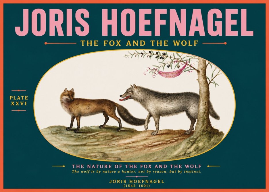 Joris Hoefnagel The Fox and the Wolf No5 - Plakát