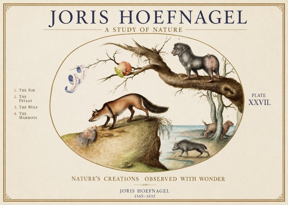 Joris Hoefnagel A Study of Nature - Plate Xxvii No1 - Plakát