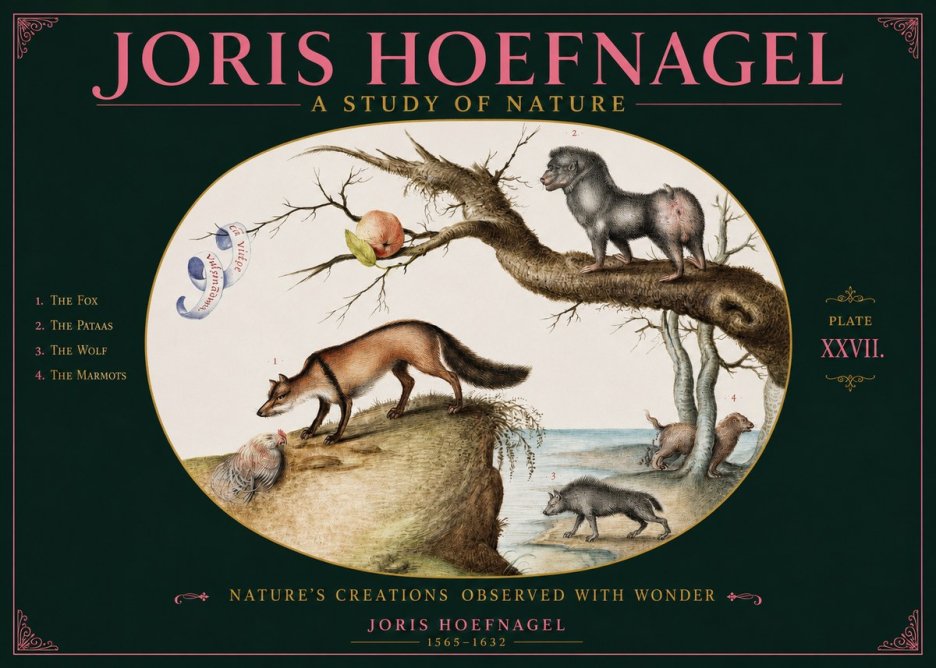 Joris Hoefnagel A Study of Nature - Plate Xxvii No2 - Plakát