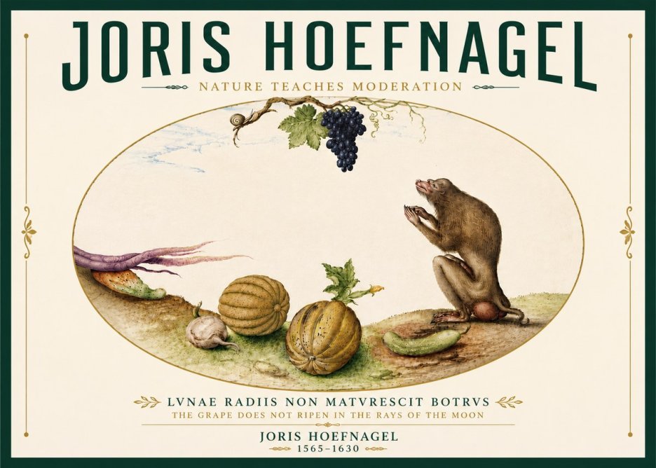 Joris Hoefnagel Nature Teaches Moderation No6 - Plakát
