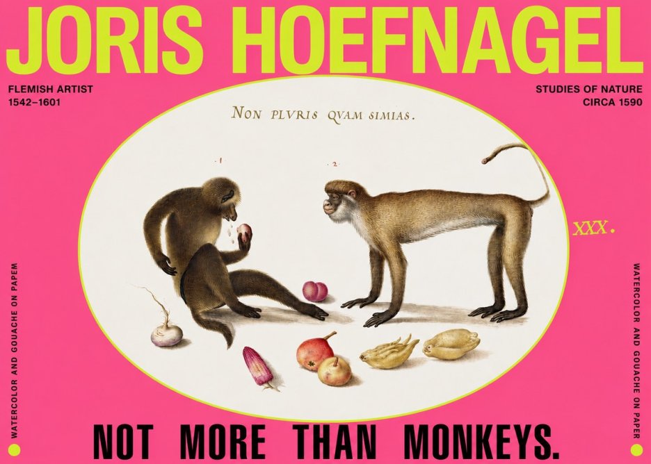 Joris Hoefnagel Not More Than Monkeys No2 - Plakát