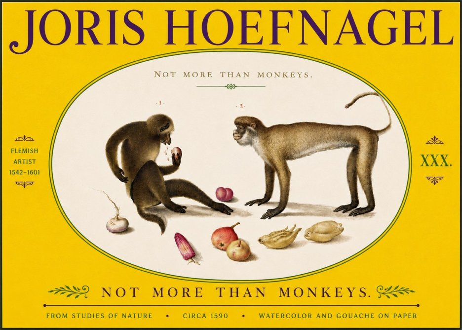 Joris Hoefnagel Not More Than Monkeys No5 - Plakát