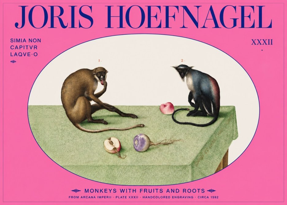 Joris Hoefnagel Monkeys with Fruits and Roots No2 - Plakát