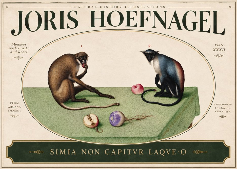 Joris Hoefnagel Monkeys with Fruits and Roots No5 - Plakát