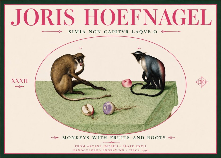 Joris Hoefnagel Monkeys with Fruits and Roots No6 - Plakát