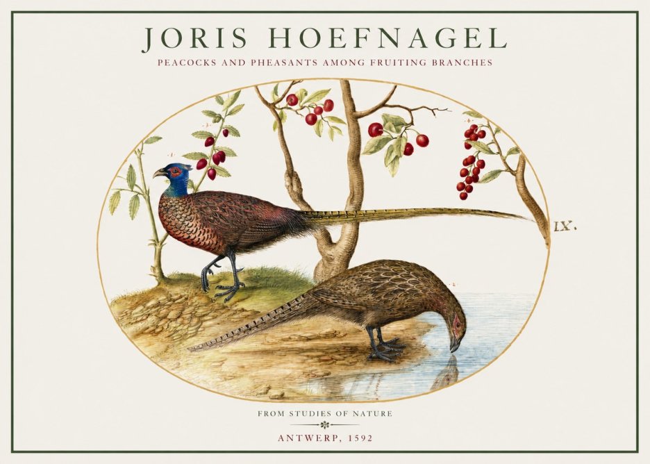 Joris Hoefnagel Peacocks and Pheasants Among Fruiting Branches No1 - Plakát