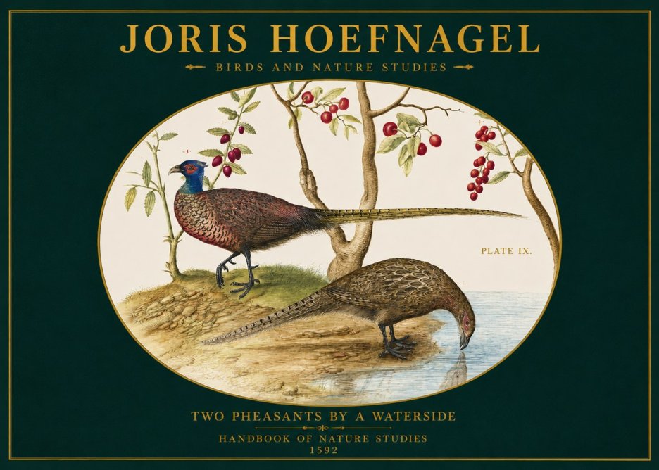 Joris Hoefnagel Peacocks and Pheasants Among Fruiting Branches No3 - Plakát