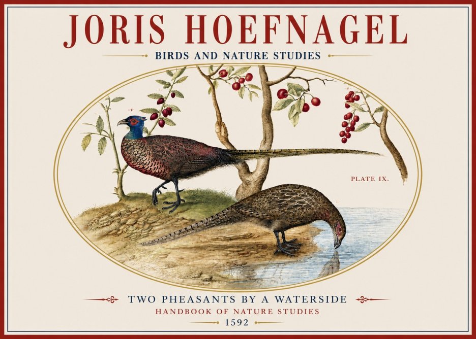 Joris Hoefnagel Peacocks and Pheasants Among Fruiting Branches No4 - Plakát