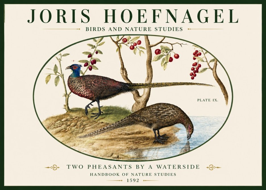 Joris Hoefnagel Peacocks and Pheasants Among Fruiting Branches No5 - Plakát