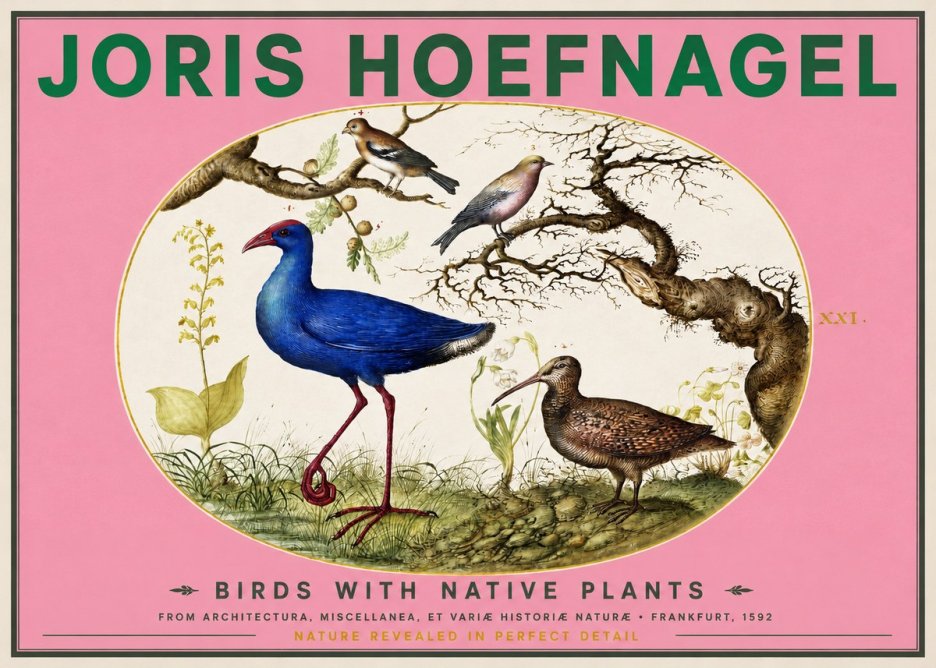 Joris Hoefnagel Birds with Native Plants No2 - Plakát