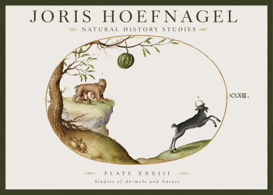 Joris Hoefnagel Plate Xxxiii No1 - Plakát