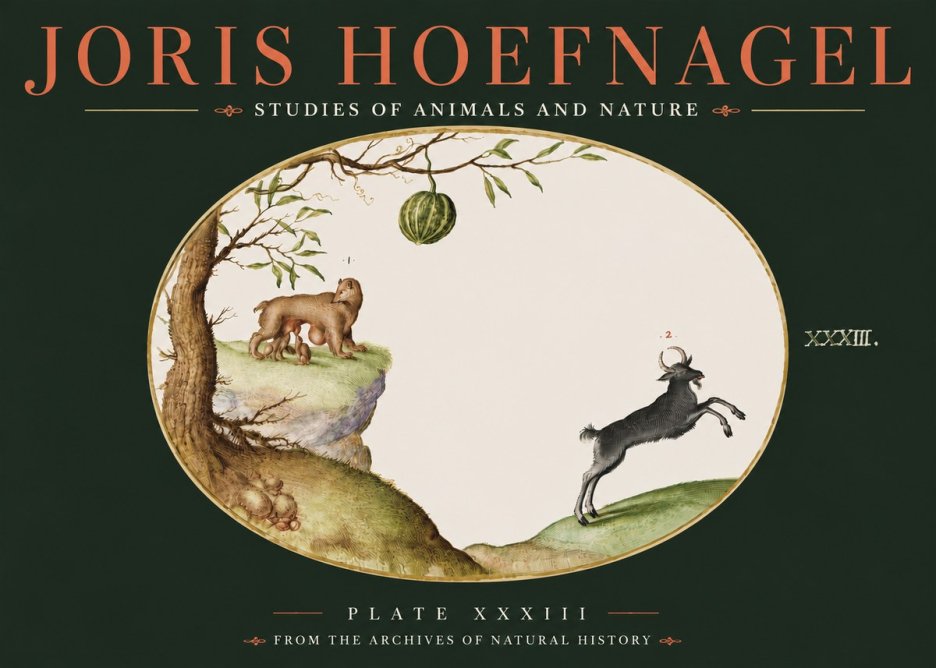 Joris Hoefnagel Plate Xxxiii No4 - Plakát