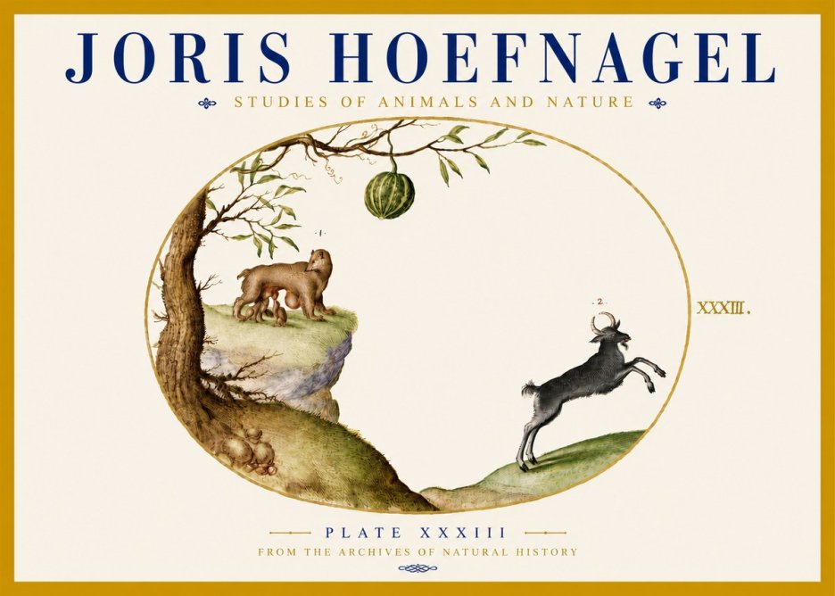 Joris Hoefnagel Plate Xxxiii No5 - Plakát