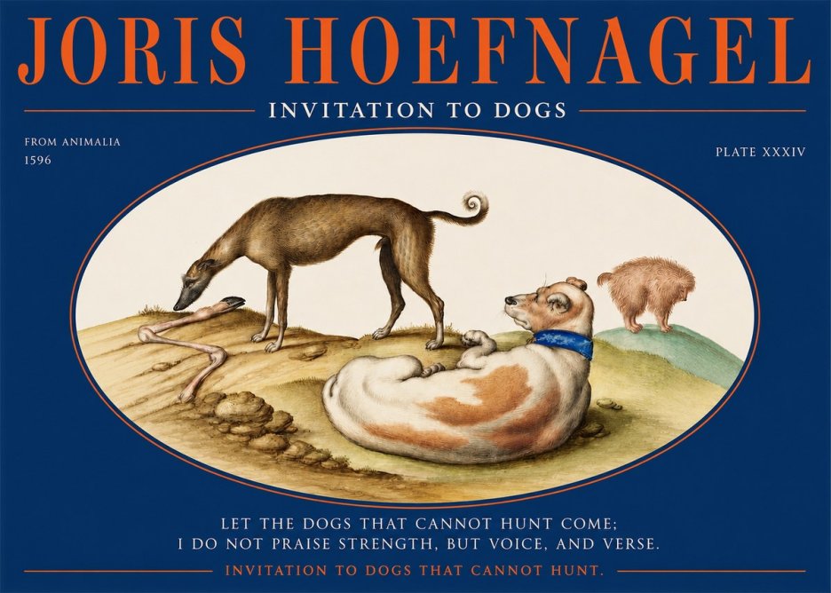 Joris Hoefnagel Invitation to Dogs No2 - Plakát