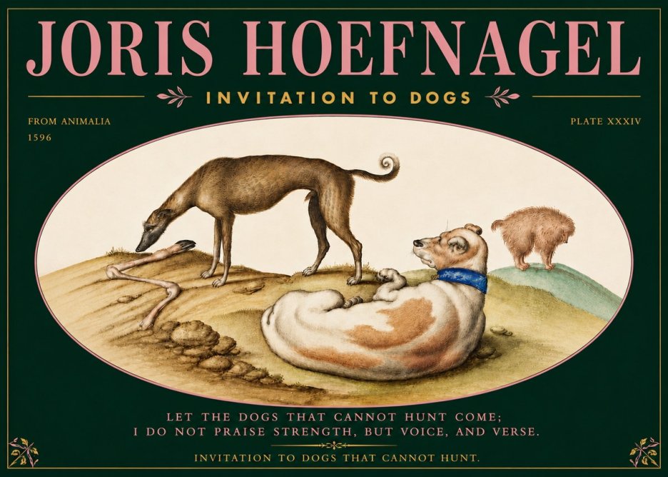 Joris Hoefnagel Invitation to Dogs No5 - Plakát
