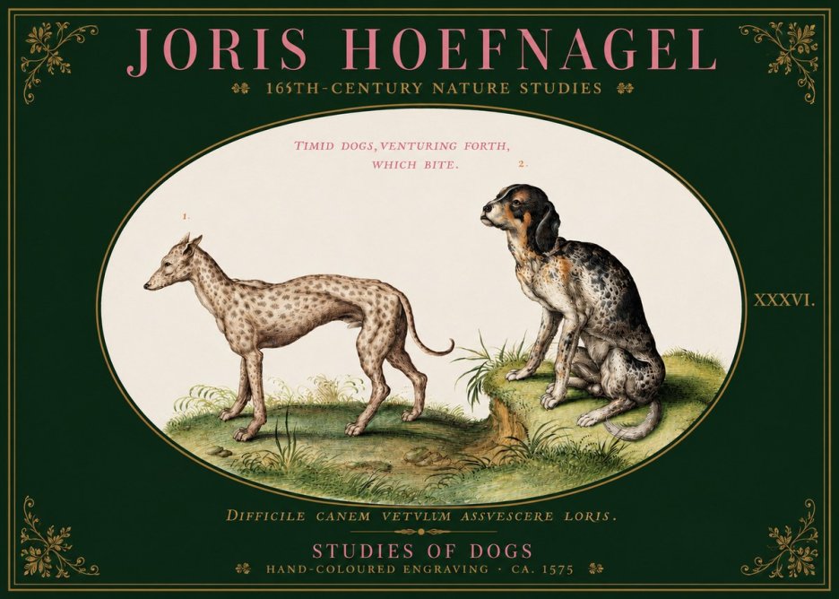 Joris Hoefnagel Studies of Dogs No3 - Plakát