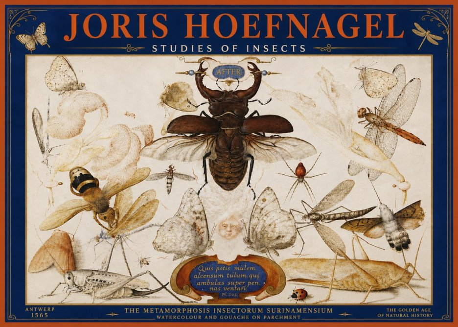 Joris Hoefnagel Studies of Insects I No4 - Plakát