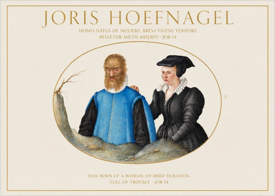 Joris Hoefnagel Homo Natus De Muliere, Brevi Vivens Tempore Refletur Miltis Miserys · Job 14 No1 - Plakát