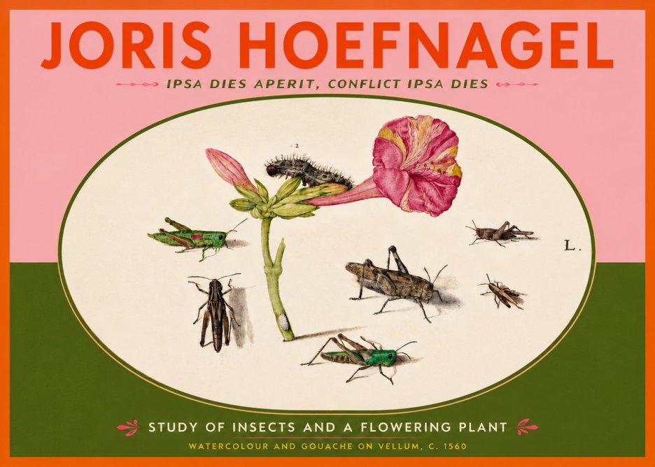 Joris Hoefnagel Study of Insects and a Flowering Plant No4 - Plakát