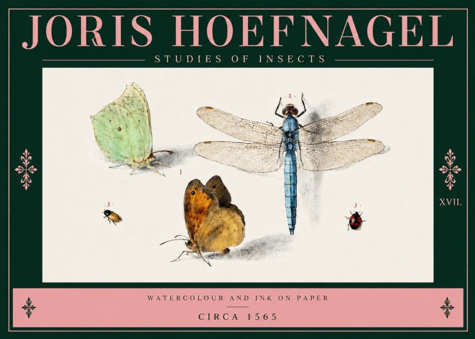 Joris Hoefnagel A Study of Butterflies, Dragonflies and Beetles No4 - Plakát